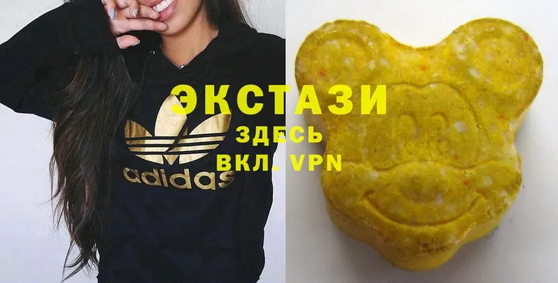 Ecstasy DUBAI  Бологое 